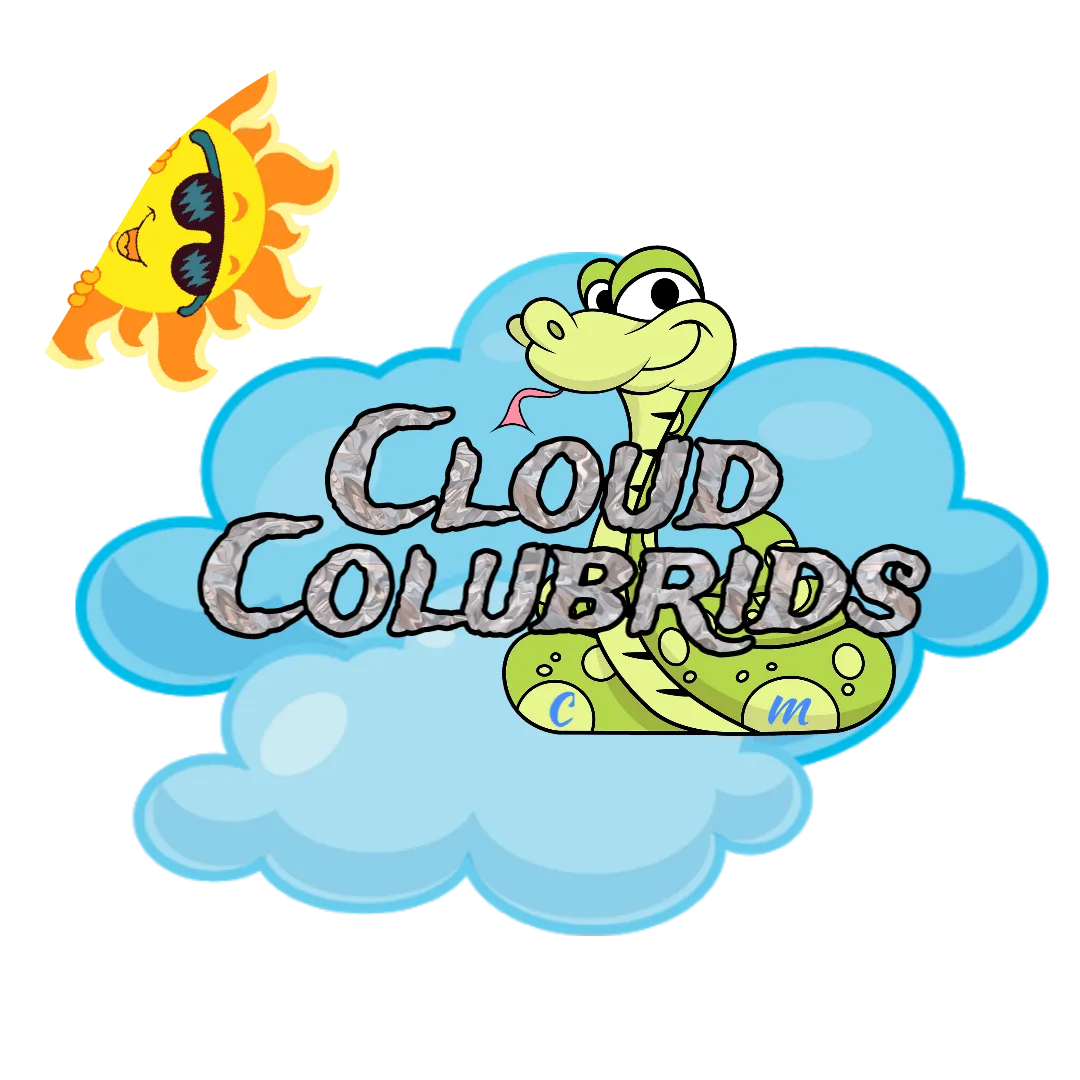 Cloud Colubrids's Collection - MorphMarket