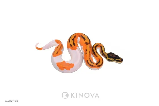 OD Enchi Fire Pied Ball Python by KINOVA