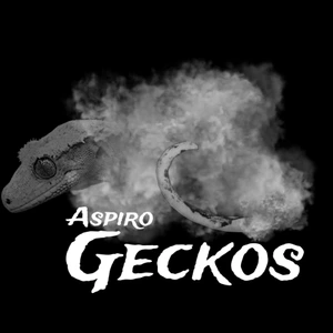 Aspiro Geckos - MorphMarket