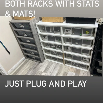 Read Description Ball Python - unknown for sale from Chimera Royal Pythons