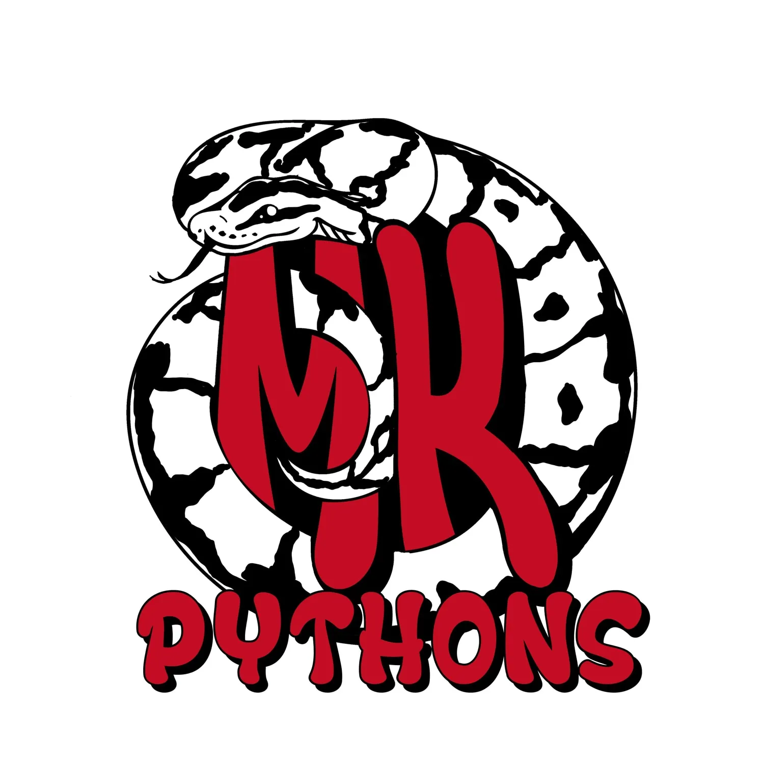 Ball Python Clutch: 1 by MK Pythons - MorphMarket