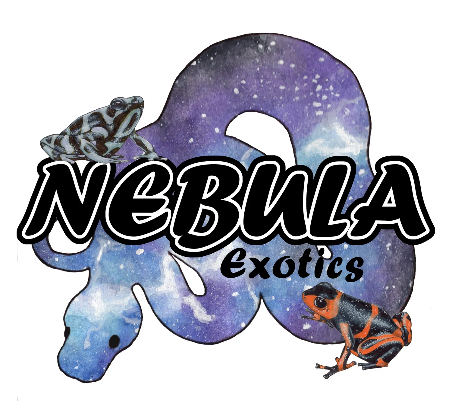 Ball Python Clutch: 2022.9 by Nebula Exotics - MorphMarket