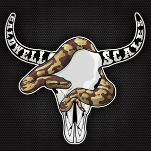 Caldwell Python Super Mahogany Combo Ball Python by Caldwell Scales